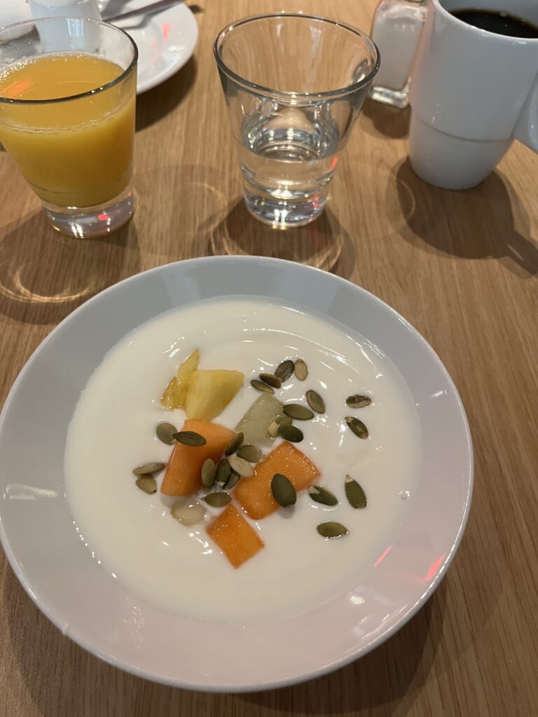 Hotel Birger Jarl