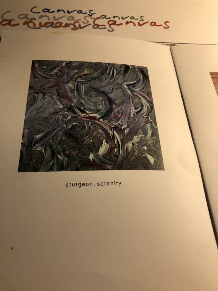 CANVAS
