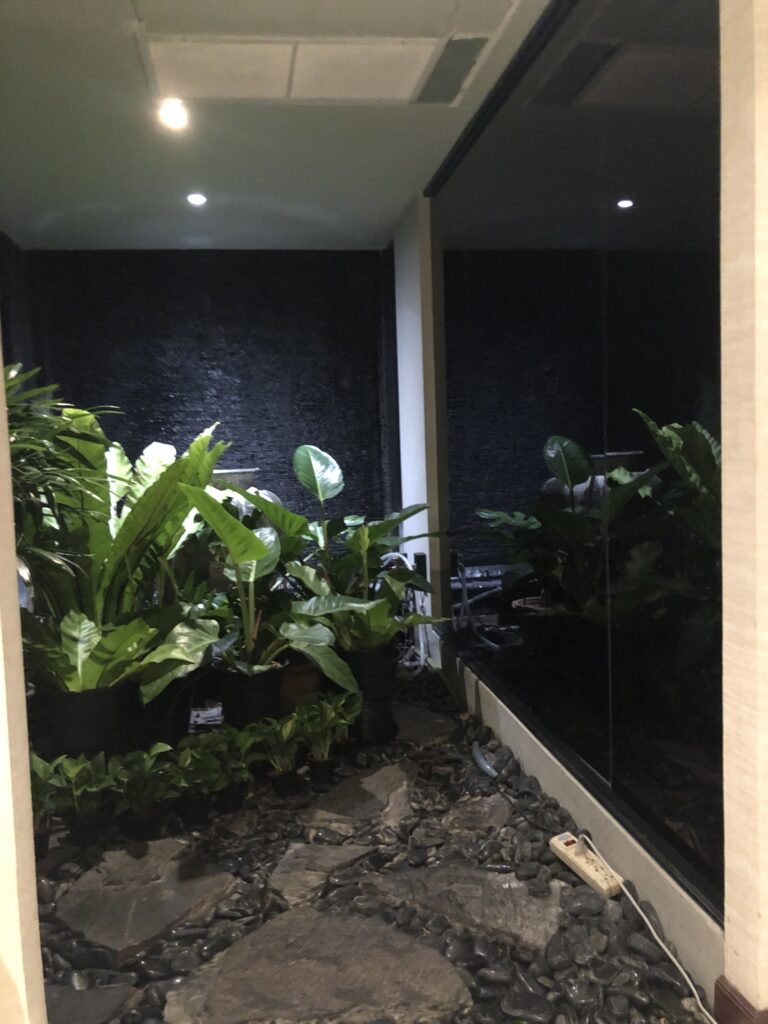 Plant Day Spa