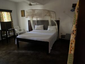 The New Big Tree Beach Resort