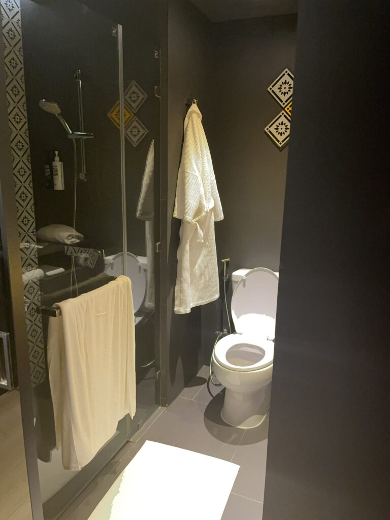 Ibis Styles