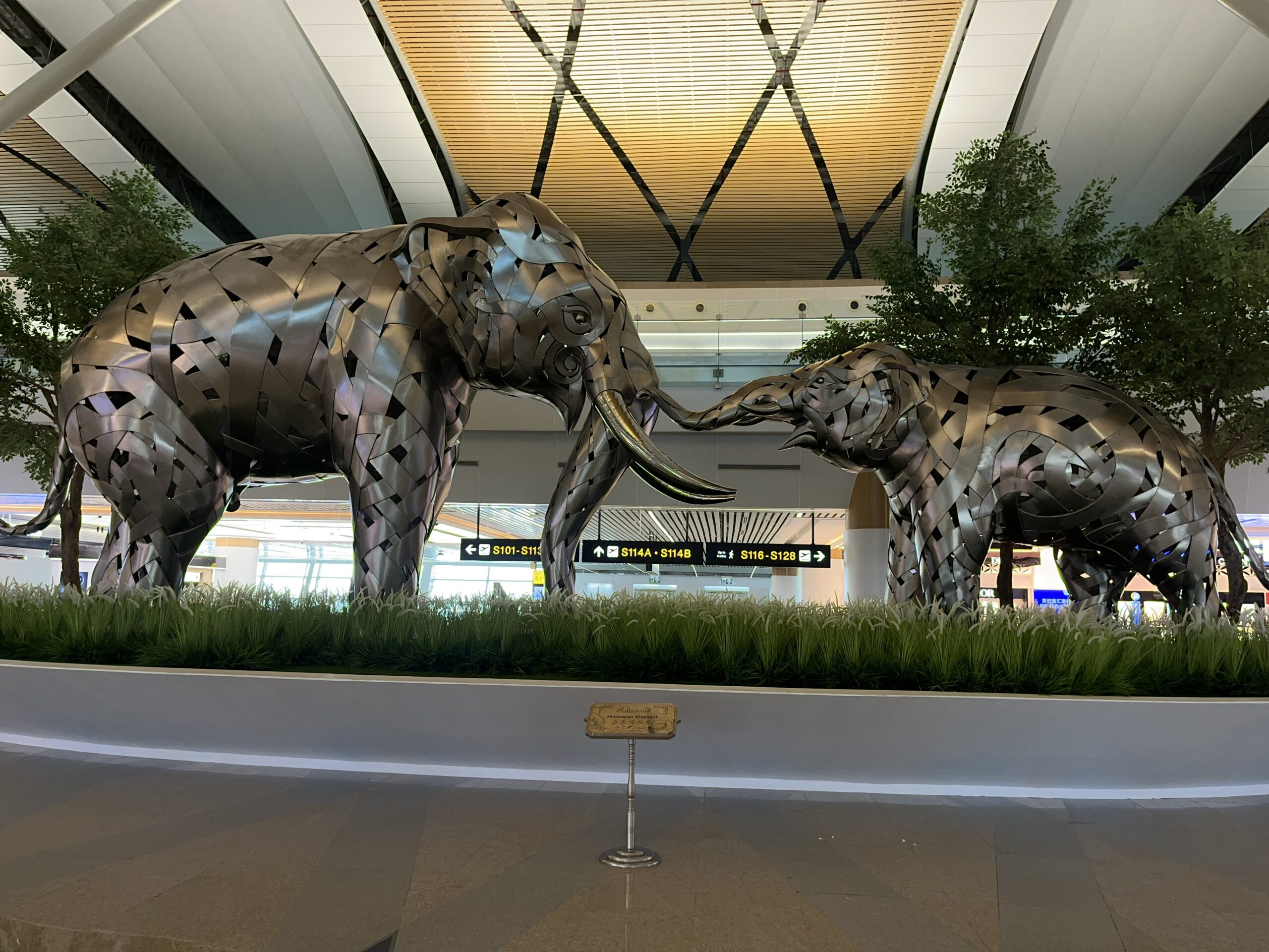 BKK FRA Thai Eco
