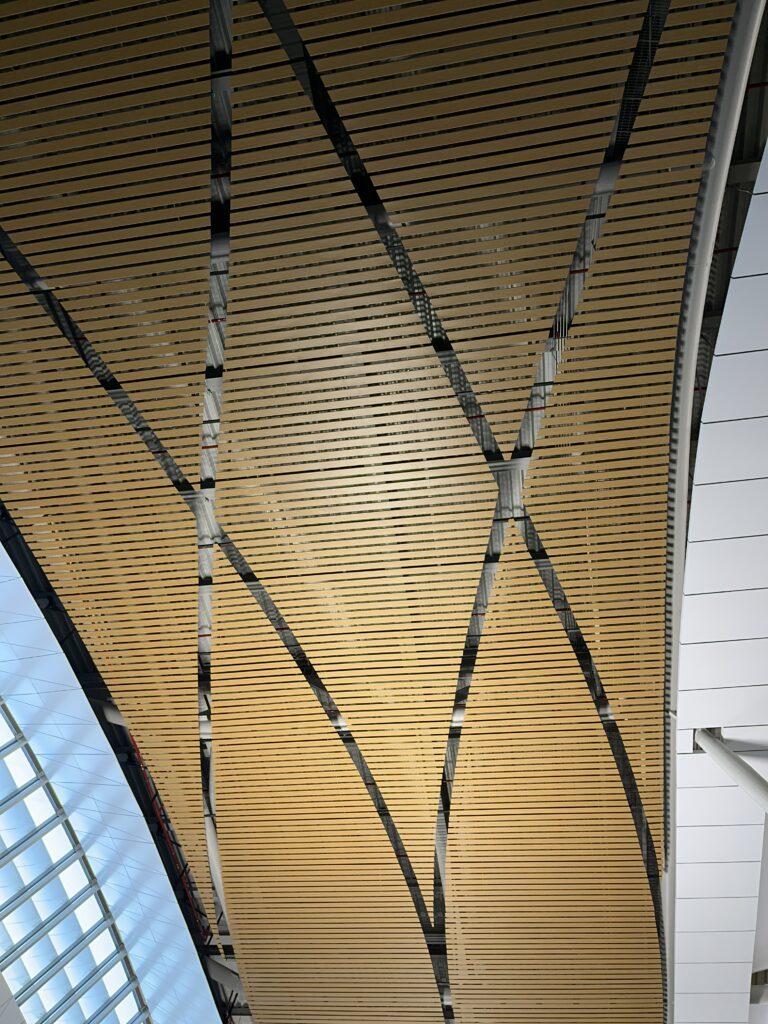 BKK FRA Thai Eco